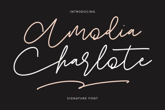 Amodia Charlote: Elevating Small Business Branding