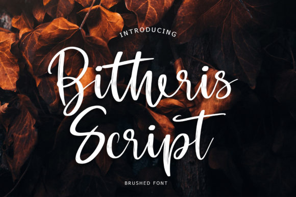 Bitheris Font Review for Modern Campaigns