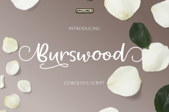 Burswood Font Review: Elegant Script for Designers