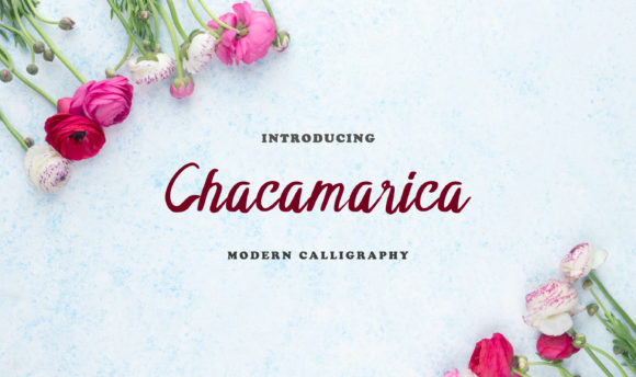 Chacamarica Font Review for Digital Campaigns