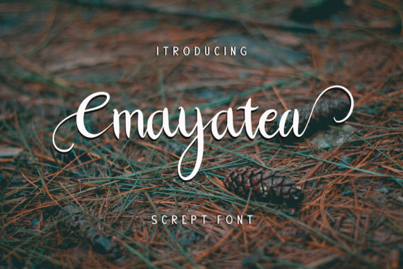 Cmayatea: A Tropical Script Font for Modern Branding