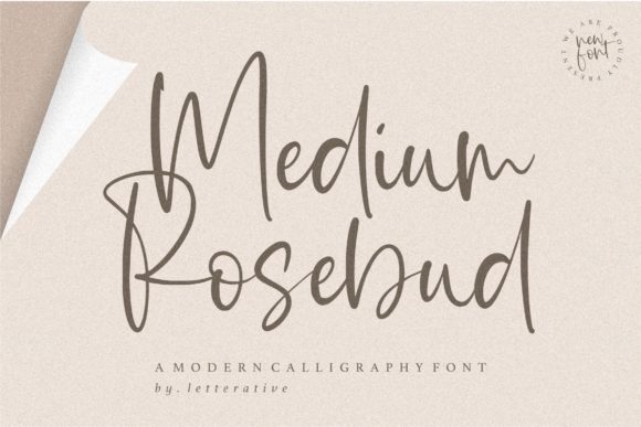 Medium Rosebud: A Handwritten Typeface for Editorial Design