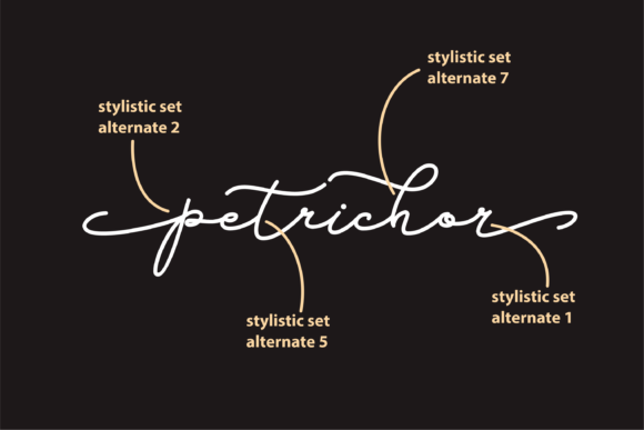 Petrichor: A Delicate Handwritten Font for Elegant Branding