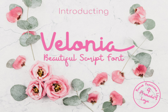 Velonia: The Perfect Script Font for Handmade Brands