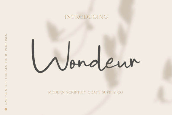 Wondeur Font: A Sweet Script for Handmade Brands